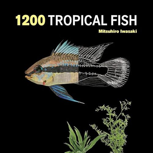 1200 Tropical Fish