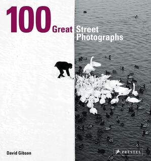100 Great Street Photographs (pb)