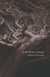 At the Point of Seeing