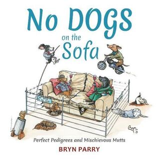 No Dogs On The Sofa