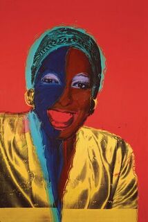 Andy Warhol Velvet Rage and Beauty