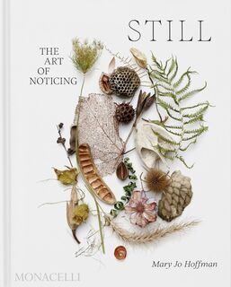 Still : The Art of Noticing
