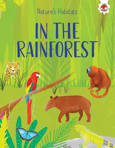 Natures Habitats In The Rainforest