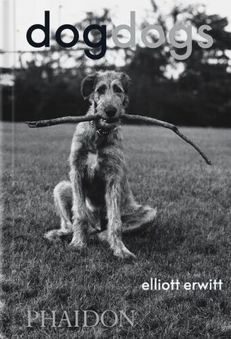 DogDogs
