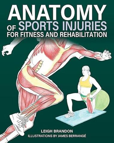 Anatomy of Sports Injuries