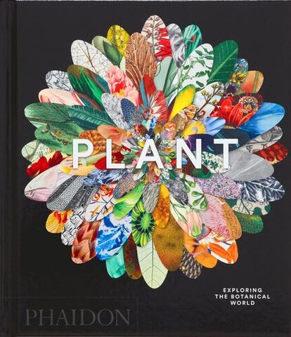 Plant Compact Edition