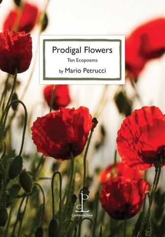 Prodigal Flowers
