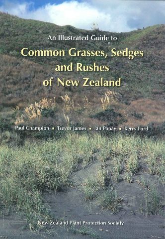 An Illustrated Guide to Common Grasses Sedges and Rushes of New Zealand