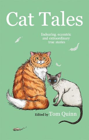 Cat Tales