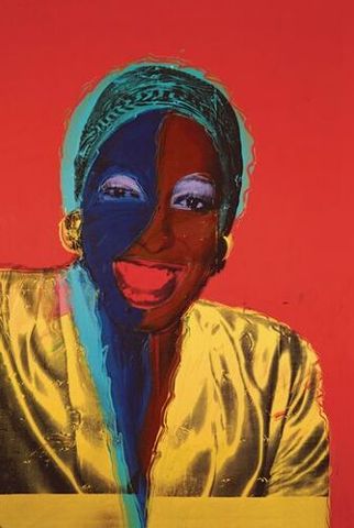 Andy Warhol Velvet Rage and Beauty