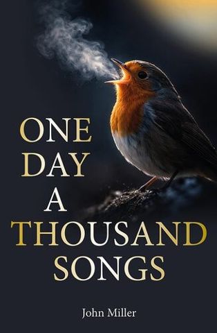 One Day A Thousand Songs