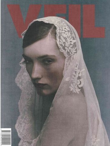Veil Volume 2